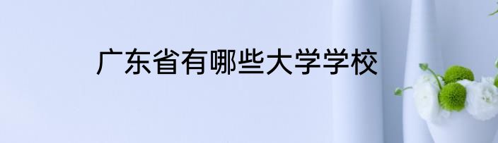 广东省有哪些大学学校