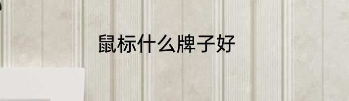 鼠标什么牌子好
