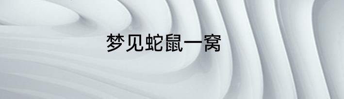 梦见蛇鼠一窝