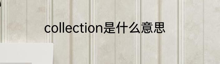collection是什么意思