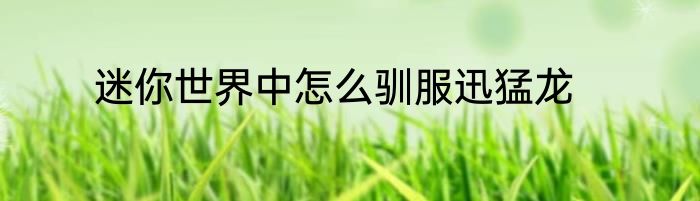 迷你世界中怎么驯服迅猛龙