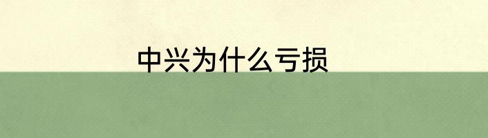 中兴为什么亏损