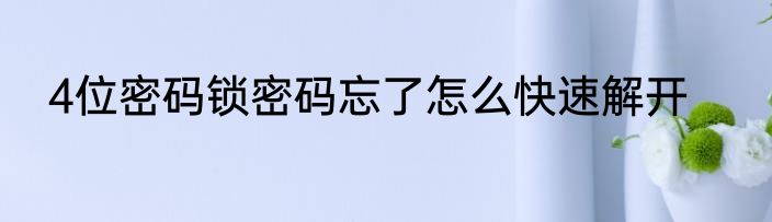 4位密码锁密码忘了怎么快速解开