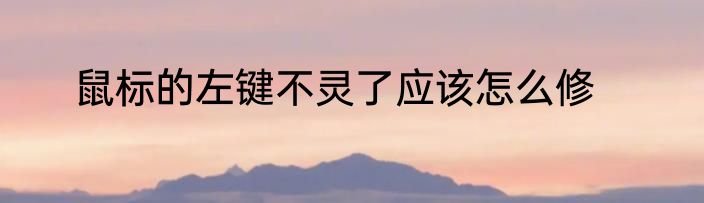 鼠标的左键不灵了应该怎么修