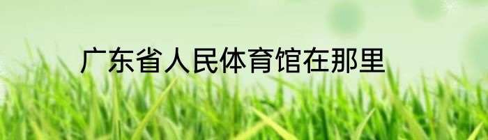 广东省人民体育馆在那里