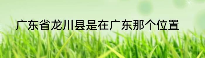 广东省龙川县是在广东那个位置