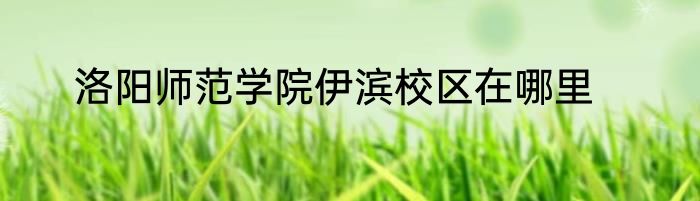 洛阳师范学院伊滨校区在哪里