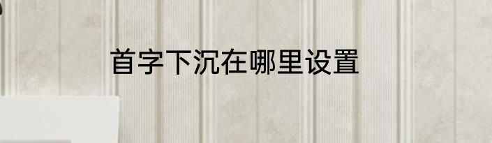 首字下沉在哪里设置