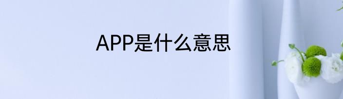 APP是什么意思