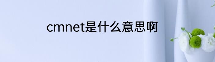 cmnet是什么意思啊