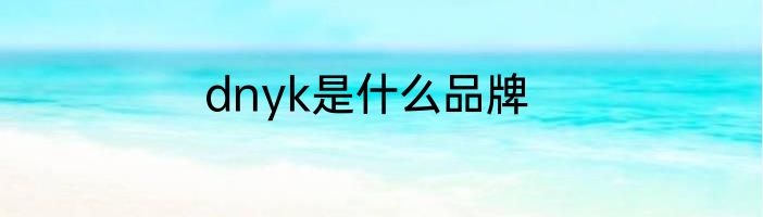 dnyk是什么品牌
