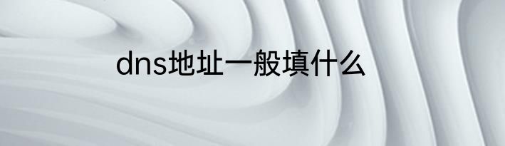 dns地址一般填什么