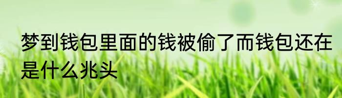 梦到钱包里面的钱被偷了而钱包还在是什么兆头