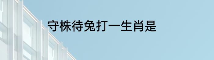 守株待兔打一生肖是