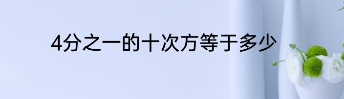 4分之一的十次方等于多少