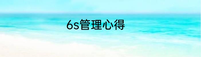 6s管理心得