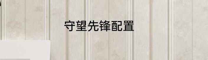 守望先锋配置