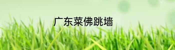 广东菜佛跳墙
