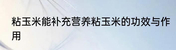 粘玉米能补充营养粘玉米的功效与作用