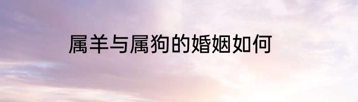属羊与属狗的婚姻如何