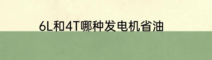6L和4T哪种发电机省油
