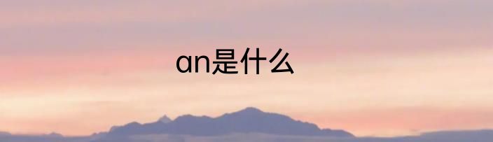 an是什么