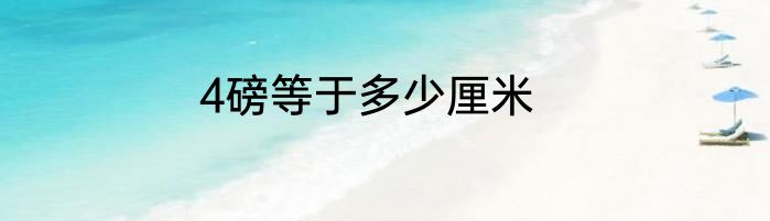 4磅等于多少厘米
