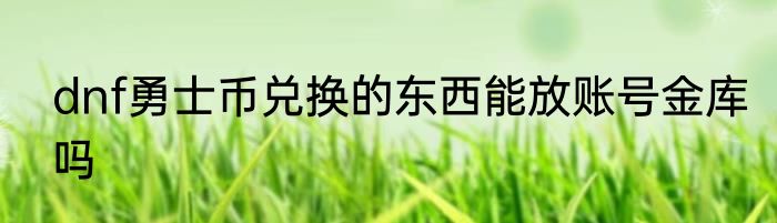 dnf勇士币兑换的东西能放账号金库吗