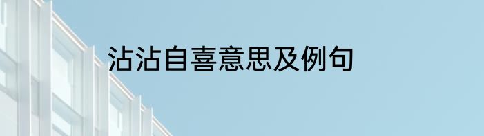 沾沾自喜意思及例句