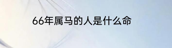 66年属马的人是什么命