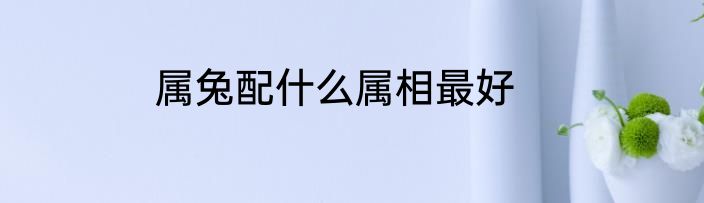 属兔配什么属相最好