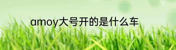 amoy大号开的是什么车