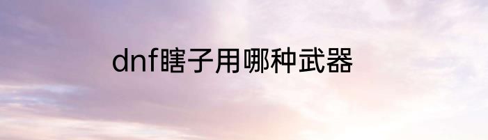 dnf瞎子用哪种武器