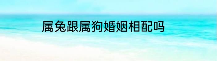 属兔跟属狗婚姻相配吗