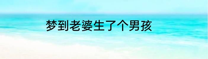 梦到老婆生了个男孩