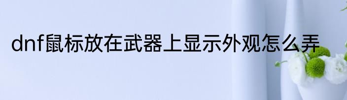 dnf鼠标放在武器上显示外观怎么弄