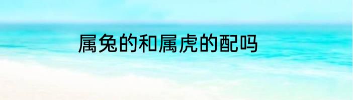 属兔的和属虎的配吗