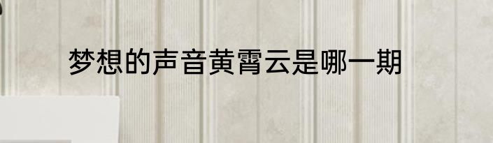 梦想的声音黄霄云是哪一期