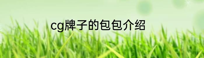 cg牌子的包包介绍