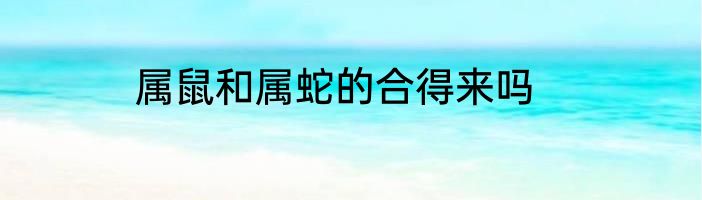 属鼠和属蛇的合得来吗