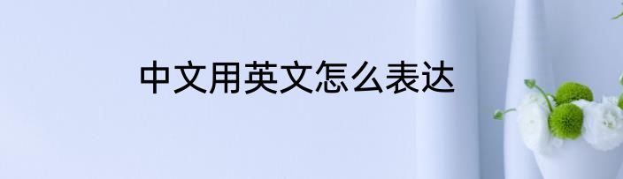 中文用英文怎么表达