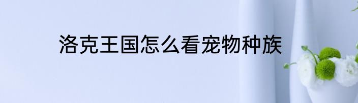 洛克王国怎么看宠物种族
