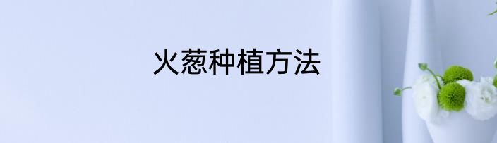 火葱种植方法