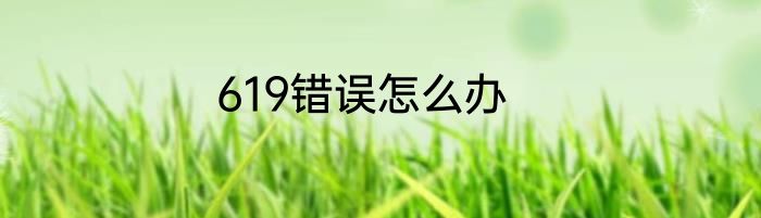 619错误怎么办