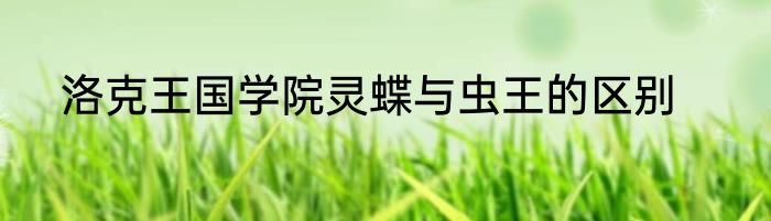 洛克王国学院灵蝶与虫王的区别
