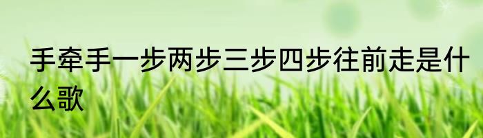 手牵手一步两步三步四步往前走是什么歌