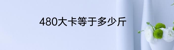 480大卡等于多少斤