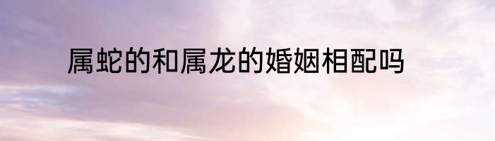 属蛇的和属龙的婚姻相配吗