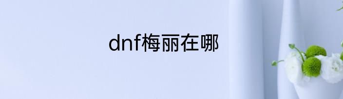 dnf梅丽在哪