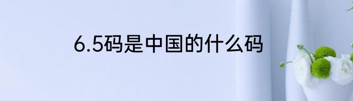 6.5码是中国的什么码